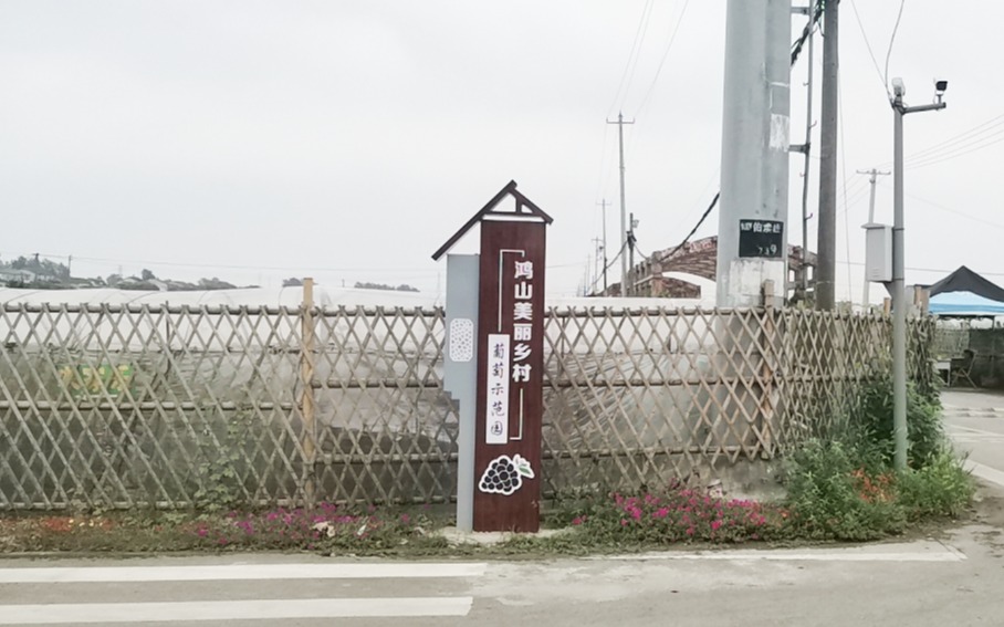 江蘇鴻山葡萄示范園水肥一體化系統