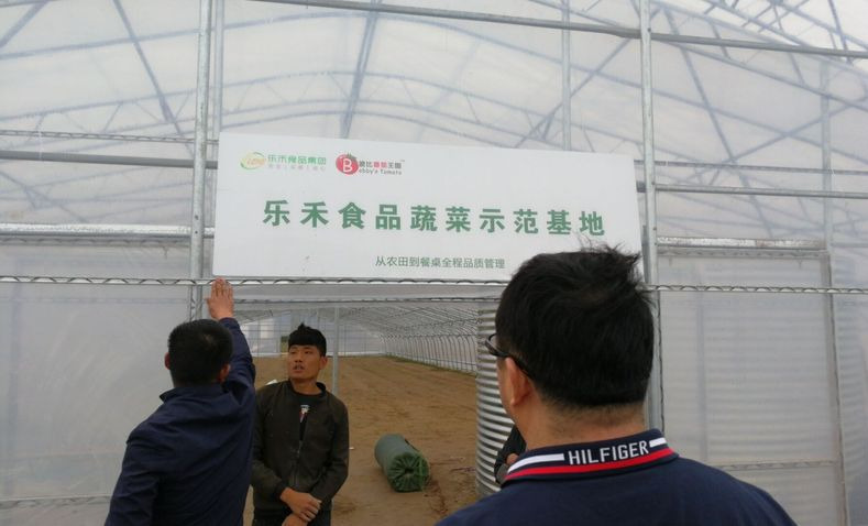 江蘇宿遷-樂禾食品蔬菜示范基地