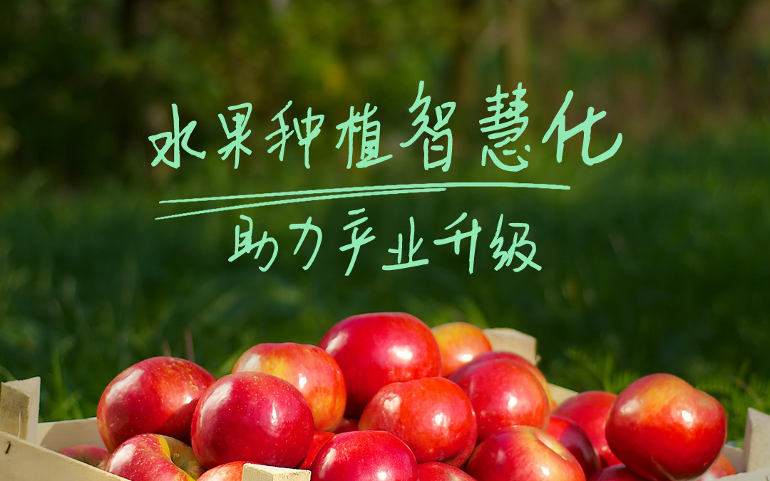 賽通科技發(fā)布今年會(huì)jinnianhui智慧果園解決方案