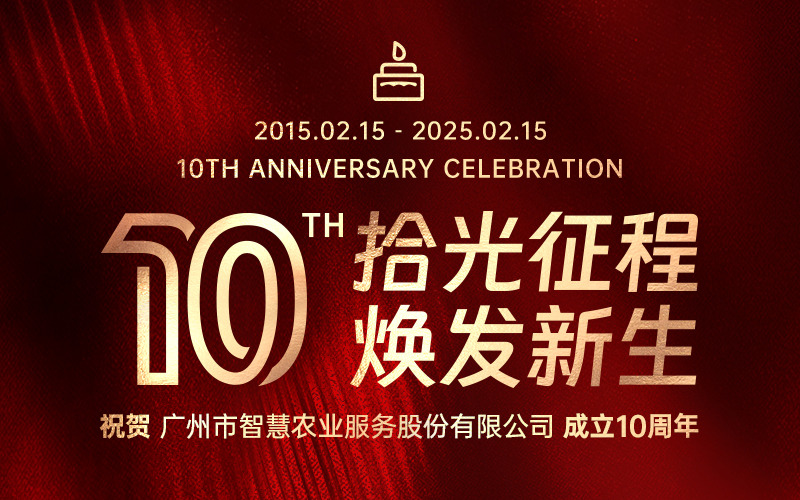 拾光征程，煥發(fā)新生 | 今年會(huì)jinnianhui官方網(wǎng)站服務(wù)股份有限公司成立十周年