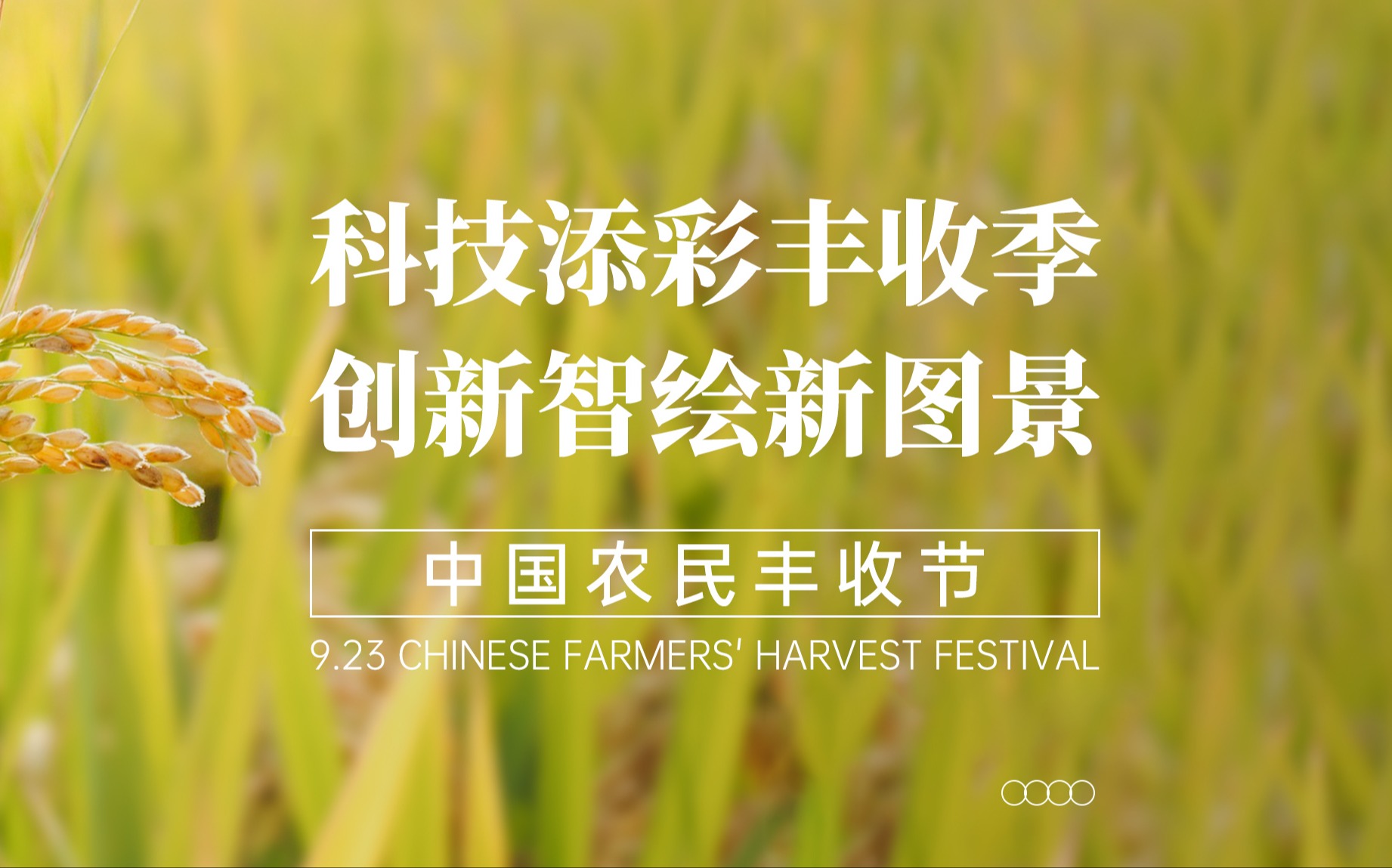 科技添彩豐收季，創新智繪新圖景！